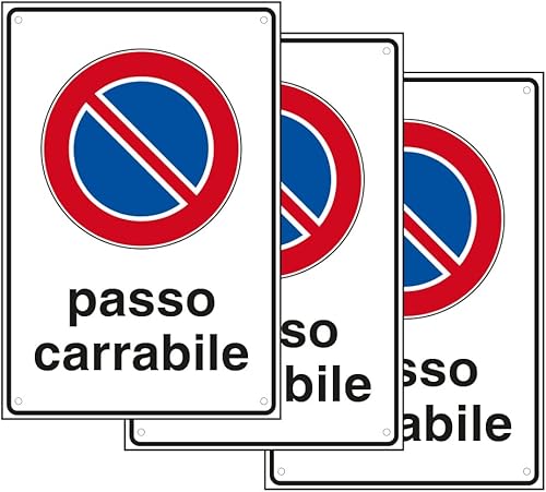 SPACE - 3 Cartelli Passo Carrabile 20cm x 30cm - Resistente UV - Impermeabile - Facile da installare - Fori inclusi - Honorern