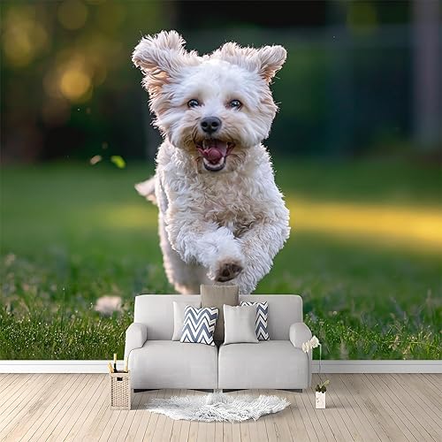 Carta da Parati Fotografica Marmo Verde Verde Design per Pareti Camera - Fotomurale Tessuto Non Tessuto Colla Non Inclusa 400x280 cm - Honorern