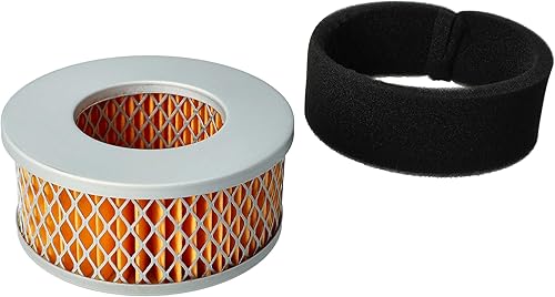 2X Filtro Compatibile con Yanmar F210 trattorino tagliaerba - 1x Filtro dell'Aria, 1x Pre-Filtro - Honorern