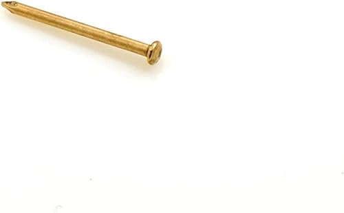 Chiodi a testa tonda 2,0 x 25 mm, ferro ottonato, 100 g (circa 160 pezzi) - Honorern