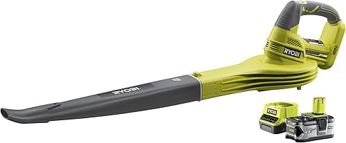 Ryobi Ventilatore a batteria 18 V con batteria da 4 Ah, colore: verde e nero - Honorern