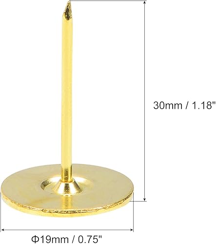 30 Pz di Chiodi per Tappezzeria, Testa Piatta da 19mmx30mm, Chiodi Decorativi per Mobili, Puntine per Mobili, divani, Testiere, Colore Oro - Honorern
