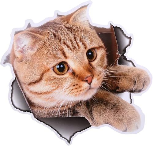 Adesivi per gatti, adesivi per auto 3D, bastone da parete per gatti 3D, bastone da parete per animali domestici 3D, bastone da parete impermeabile 20 x 21 cm - Honorern