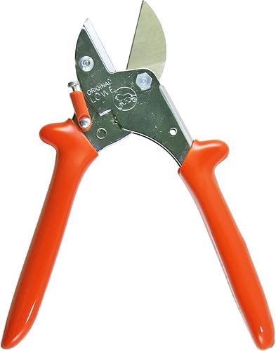 Löwe 5104 - Piccole Forbici a Incudine - Honorern