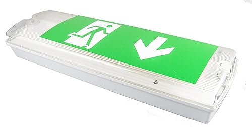 Lampada di emergenza per illuminare e segnalare l’uscita di sicurezza, IP65 - Honorern