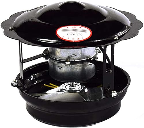 Aspiratore di Fumo per Camino, 50W/60W/100W Aspiratore per Camino Aspiratore per Canna Fumaria Induttore di Tiraggio per Camino Aspiratore per Camino per Camino(Nero),100w - Honorern