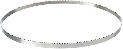 FMN-Home, 2pcs 2 Tape Lama for Sega 1450x 6,35 Millimetri X 0.35 Nastro Sega Strumento TPI Segheria 6 (Taglia : TPI 6) - Honorern