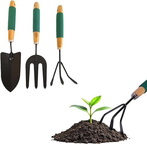 Zendea Set 3 Utensili da Giardino con Rastrello per Raccogliere Foglie, Una Forchetta per Trapiantare Fiori e Spade per Scavare il Terreno - Realizzati in Materiali Resistenti e Manico Ergonomico - Honorern