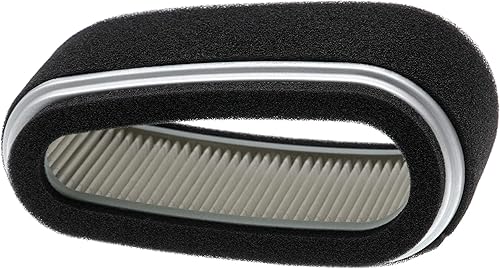 set di filtri compatibile con John Deere GX70, GX75, 130 motore tagliaerba - 2x filtro di ricambio (filtro di carta, filtro in spugna) - Honorern