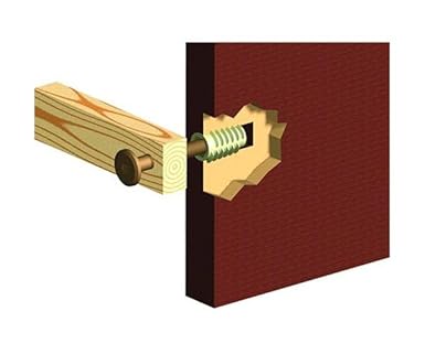 Dadi esagonali M8 per legno con inserto filettato, boccole esagonali flangiate (tipo D), per mobili in legno, armadi, scarpiere, librerie, fai da te, M8 x 25 mm (confezione da 10) - Honorern