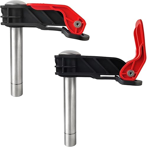 2 Pezzi Morsetti da Falegname, 20 mm Morsetto da Banco Regolabile in Acciaio Inossidabile, Distanza Massima di Serraggio 100 mm Attrezzi per Legno, per Intaglio del Legno, Routing (Rosso) - Honorern