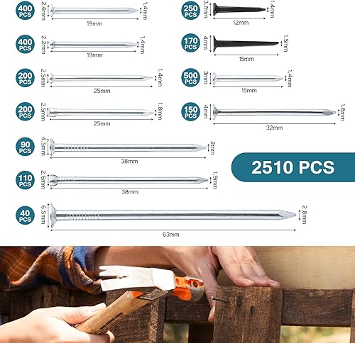 set di 2510 chiodini in legno per il fai da te e piccoli chiodini da parete per l'artigianato, la decorazione della casa, la lavorazione del legno, la costruzione di mobili. - Honorern