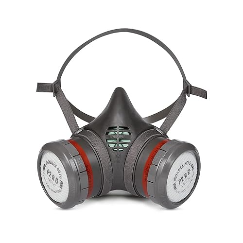 BeeSwift M8070 Moldex P2 R D-Pr (confezione da 4) - Honorern