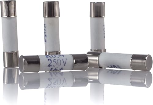 Fusibile audio in ceramica di fascia alta 2 A, 250 V, fusibile in ceramica 5 x 20 mm, fusibile HiFi 5 X - Honorern