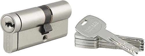 Cilindro europeo per serratura Transit 2, 30x40mm, nichel, antitrapano, antiscasso 4 chiavi reversibili - THIRARD - Honorern