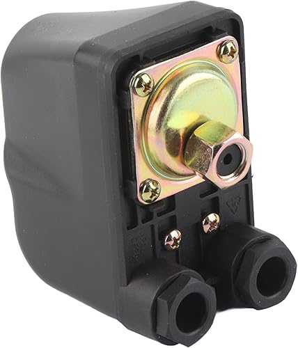 Pressostato della Pompa Interruttore Automatico della Pompa 'acqua, Controller Display della Pressione di Controllo per Pompe Autoadescanti, Giardino, a Getto - Honorern