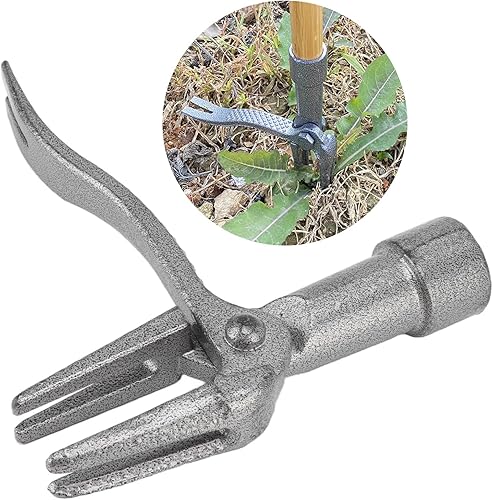 Estrattore per Erbacce, Strumento per Testa di Sarchiatore in Piedi Strumento per Radici di Sarchiatrici Senza Piegare Il Ferro Raccoglitore per Estrazione Manuale Efficiente delle - Honorern
