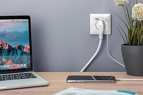 DIGITUS - Presa con contatto di protezione, 2 USB, USB Ges. Potenza 5 V 2,1 A, ingresso: AC 250 V 50 Hz, RAL 9003 bianco., (DA-70613) - Honorern