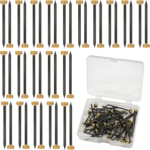 50 strumenti per appendere quadri, 4 mm, testa in ottone, chiodi per appendere quadri, pannelli con scatola di plastica, piccoli chiodi neri e gialli per cornici pareti, recinzioni in legno, - Honorern