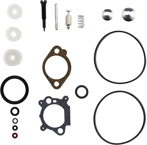 Kit di Riparazione Ricostruzione Carburatore Guarnizione Carburatore per Motore Briggs Stratton Quantum Max 398183 498261 490937 - Honorern