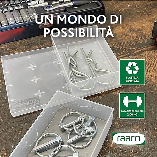 raaco Vassoio Porta Minuteria 55 8xA8-1, Vassoio con 8 Scomparti, Scatola Trasparente per Attrezzi, Organizer Viti, Cassetti & Conservazione di Piccoli Componenti, Facile da Pulire, 16 x 22 x 4,7 cm - Honorern