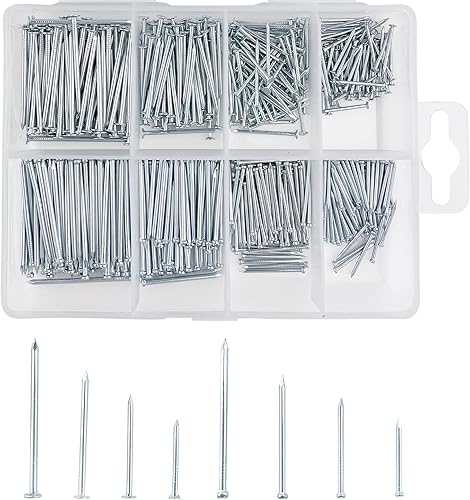 560 Pcs Chiodi per Quadri Muro, Chiodi in Acciaio con Scatola, Chiodini per Appendere Quadri in Mix, Chiodi Cartongesso, Chiodi Legno per l'uso su Cemento, Mattoni, Gesso e Legno - Honorern