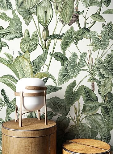 NEWROOM carta da parati verdi flori foglia floreale tessuto non tessuto moderna bosco natura - Honorern