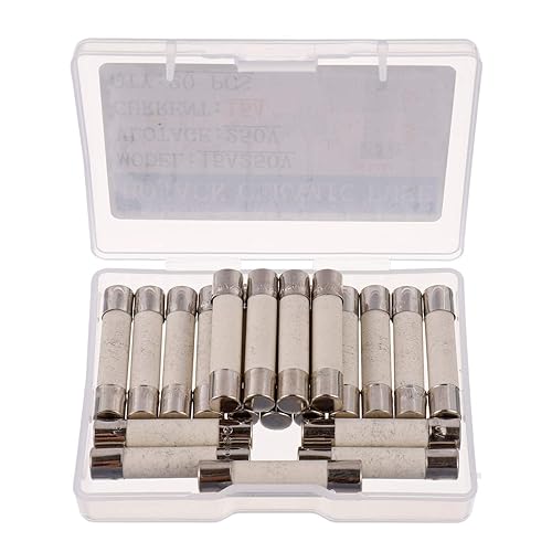 T15A250V 6x30 mm 15 A 250 V Fusibili in ceramica a lenta combustione 15 amp 250 Volt 0,24 x 1,18 pollici Fusibili a ritardo per tubo in ceramica (confezione da 20 pezzi) - Honorern