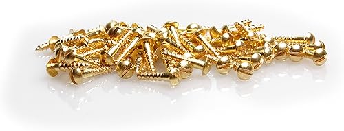 100 mini viti per legno DIN 96 (testa semicircolare con fessura), in ottone, 2 x 10 mm, per modellismo o restauro. - Honorern