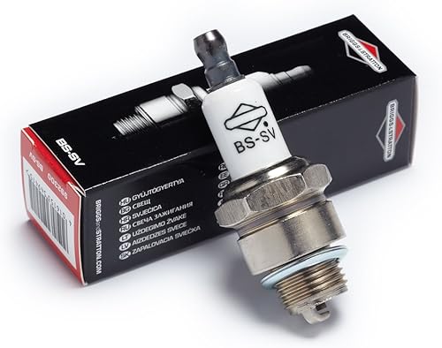 Briggs & Stratton Candela, nero, 992300 - Honorern