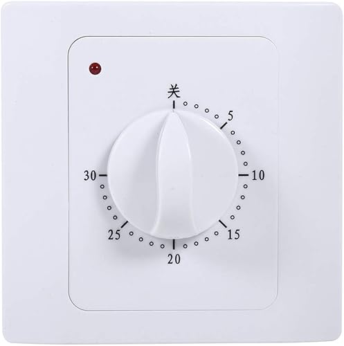 MAGT Interruttore Temporizzatore, AC 220V 30 Min Temporizzatore Presa Elettrica Interruttore Orario Timer Presa Elettrica Conto alla Rovescia - Honorern