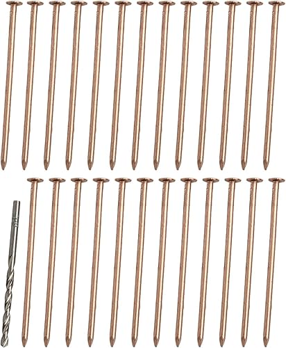 Gdfnmogo Chiodi in rame per rimuovere le radici, 10,2 cm, strumenti per il trattamento degli alberi morti, con punta da trapano, per la rimozione di ceppi e radici (15 pezzi) - Honorern