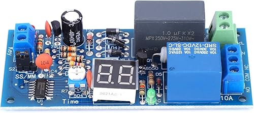 AC 220V 1.0W Modulo relè Temporizzato Ritardato Temporizzazione Controllabile Ritardo Disabilita Interruttore Modulo relè Temporizzato 1-99 Secondi o 1-99 Minuti, Tubo Digitale - Honorern
