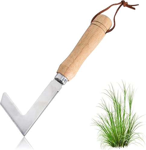 Raschietto per Fughe, Raschietto per Erbacce con Manico in Legno, Raschietto per Erbacce per la Pulizia delle Fughe, Raschietto Manuale per Erbacce in Acciaio Inox, per Eliminare Muschio ed Erbacce - Honorern