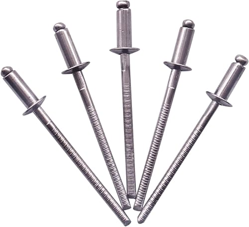 SKIR'CO (100 pezzi) Rivetti ciechi in acciaio inox 3,2 x 8 mm, testa a cupola, rivetti pop, DIN 7337, rivetto A2, mandrino scanalato - Honorern