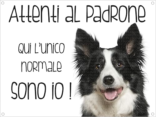 BORDER COLLIE Attenti al padrone qui l'unico normale sono io! CANE CARTELLO TARGA IN METALLO (15X20) - Honorern