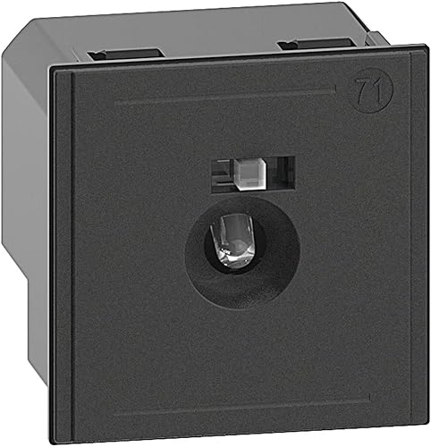 Bticino K4382 Plastica Lampada Segnapasso con Led a Luce Bianca, 10 A Corrente di Dimensionamento, 230 V Tensione Nominale, 2 Moduli, Nero - Honorern