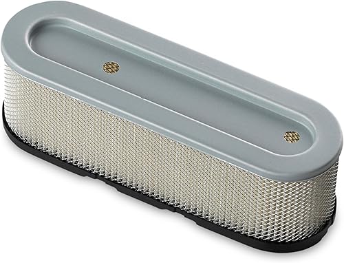 Filtro e prefiltro dell'Aria Adatto per Briggs&Stratton - Numero di Riferimento 399806, 399806S, 4138, 491519, 5048 - Honorern