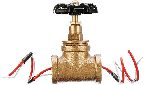 Interruttore Della Luce Della Valvola Di Arresto Di Vintage Steampunk 3/4 Pollici Con Filo Passare Thru Ferro Nero - Honorern