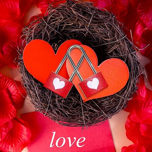 Regalo con lucchetto dell'amore, regalo di San Valentine, regalo per lui, serratura con cuore, lucchetto con gancio lungo, regalo per coppie, matrimonio, anniversario - Honorern