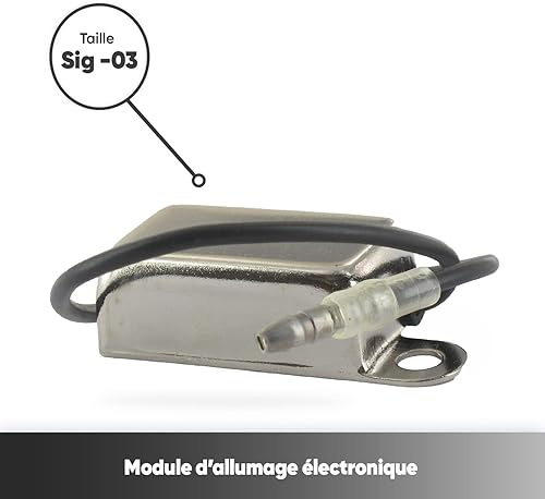 GREENSTAR - Modulo di Accensione Elettronica - SIG-03 - Applicazione Universale per Motori 2 E 4 Tempi Di Alta Potenza - Honorern